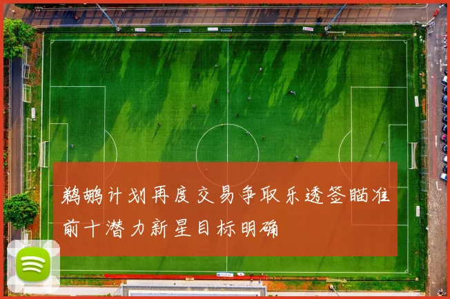 鹈鹕计划再度交易争取乐透签瞄准前十潜力新星目标明确